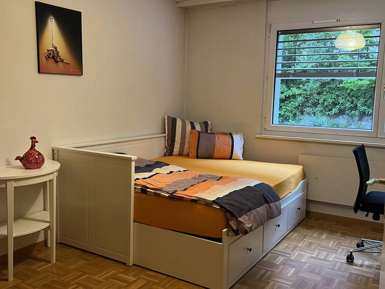 Homestay Lausanne 257372-4