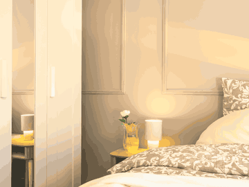 ?Havre de Paix et de Style à Lyon 5