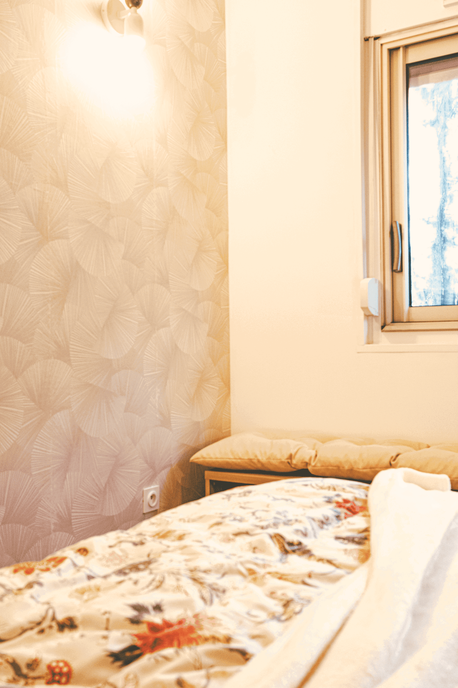 Kolokasie Lyon 643365