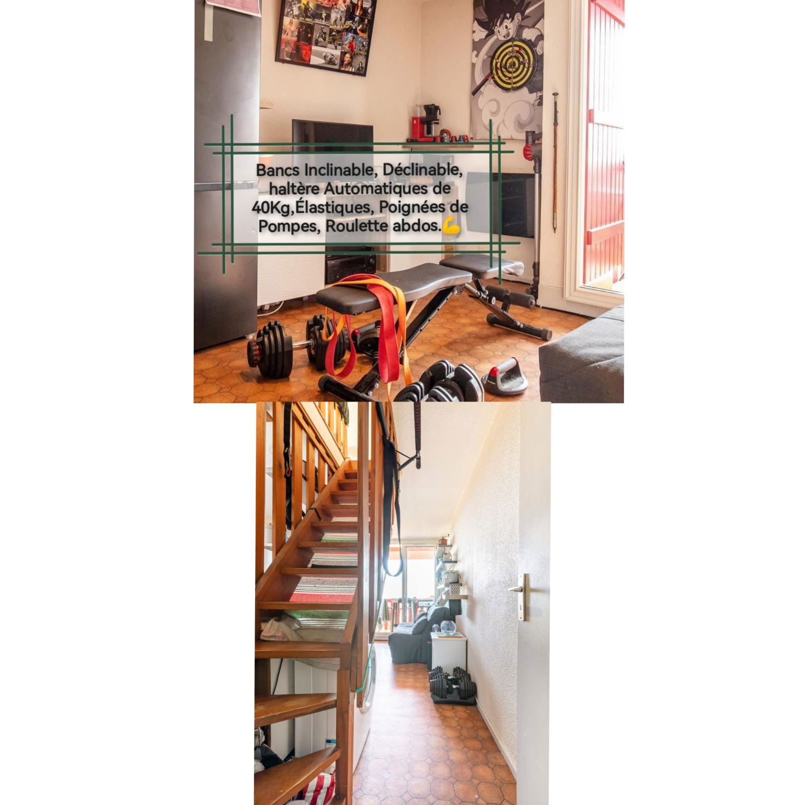 Monolocale Indipendente Bidart 259868