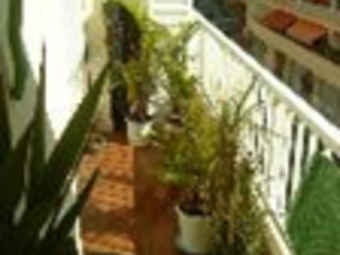 Homestay Cannes 39590