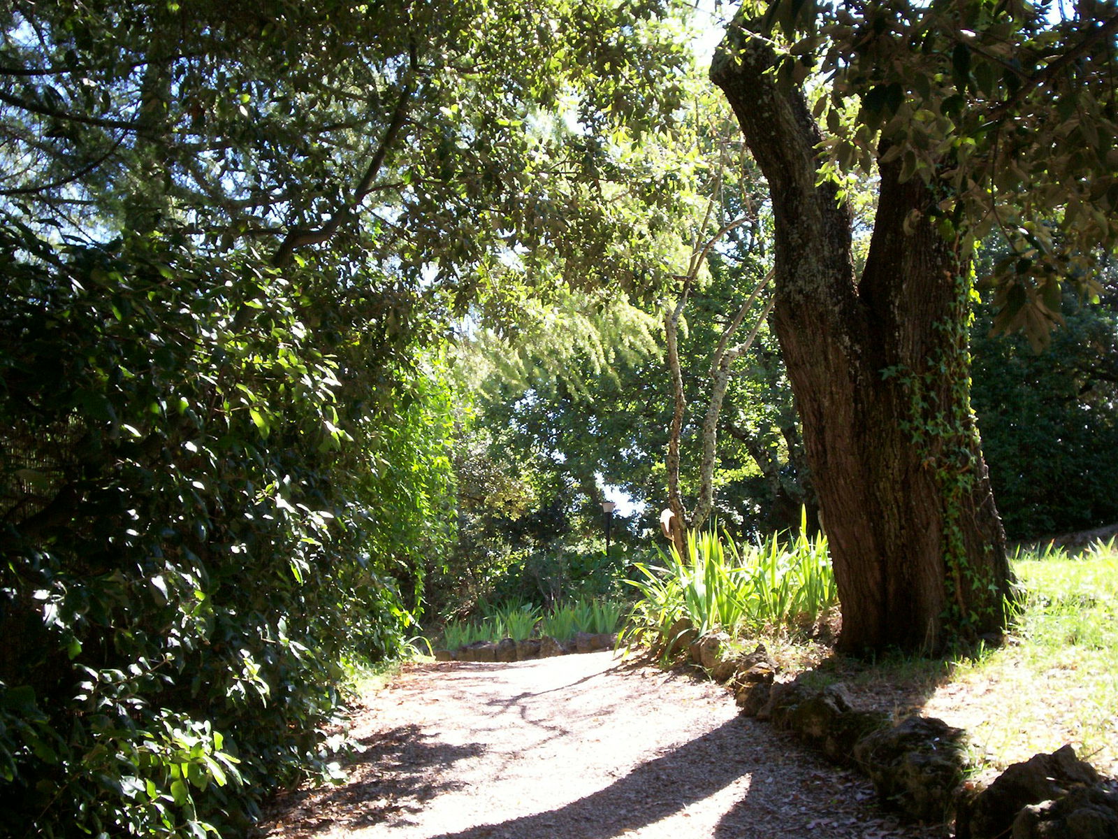 Logement Entier undefined 193216