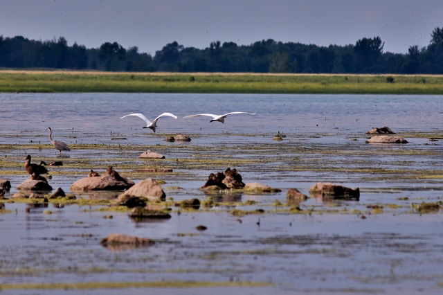 Chambre Chez L'habitant Boucherville 38955