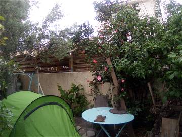 Chambre Chez L'habitant Palavas-Les-Flots 255219-2