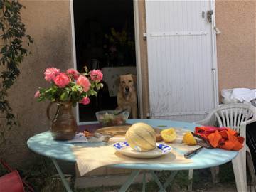 Chambre Chez L'habitant Palavas-Les-Flots 255219-4