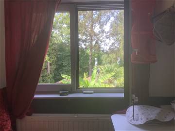 Chambre Chez L'habitant Ottignies-Louvain-La-Neuve 207959-6