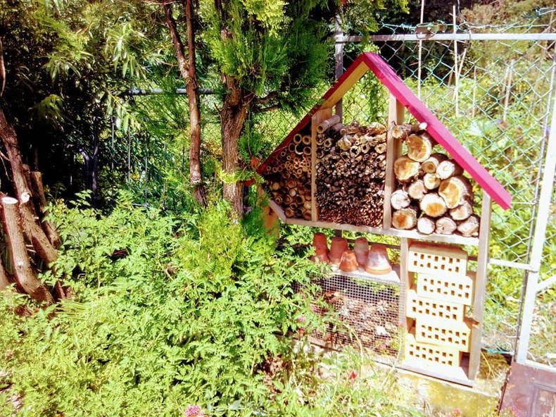 Quedarse En Casa Valence 229199-3