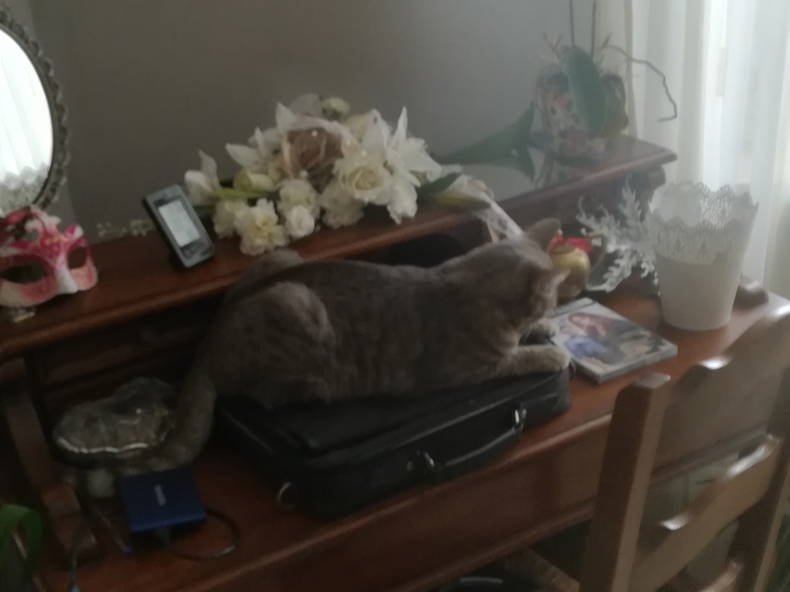 Chambres D'hôtes Folkling 60526-4