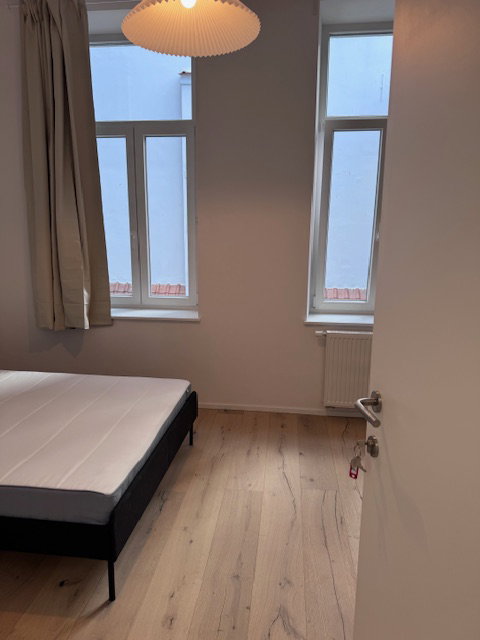 Kolokasie Verviers 657092