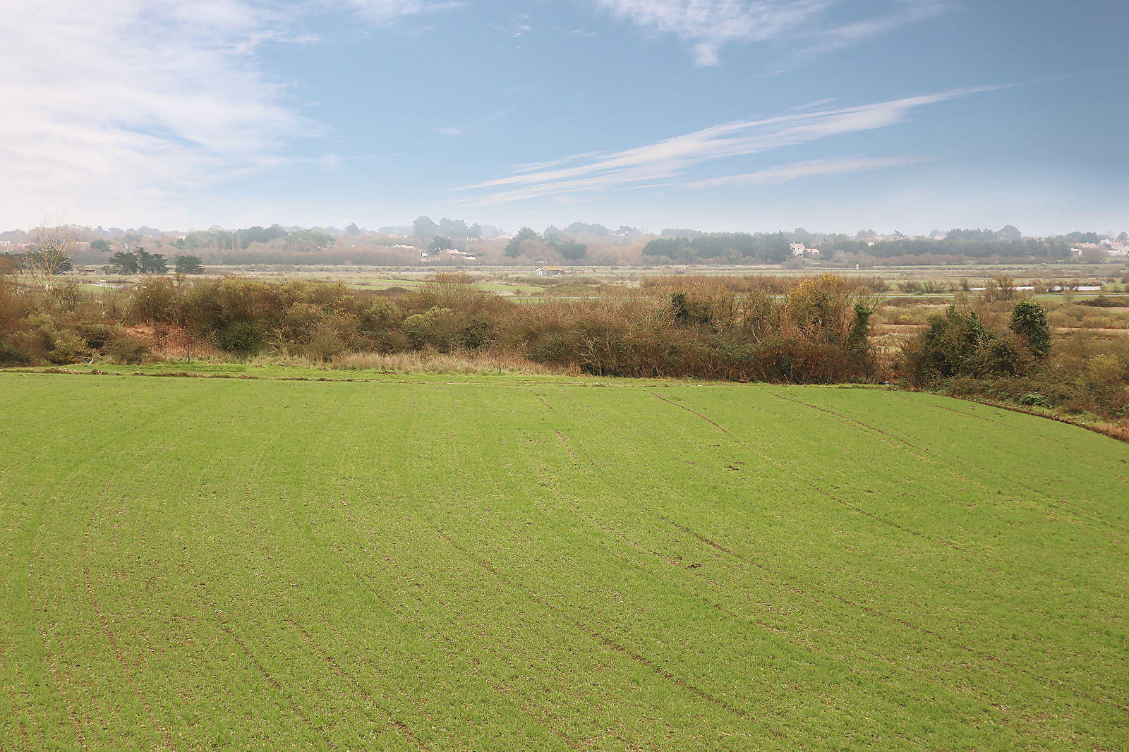 Hele Huis Saint-Hilaire-de-Riez 656235