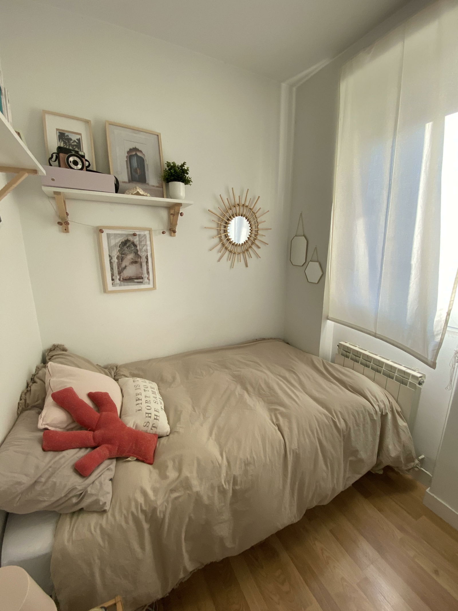 Kolokasie Madrid 245839