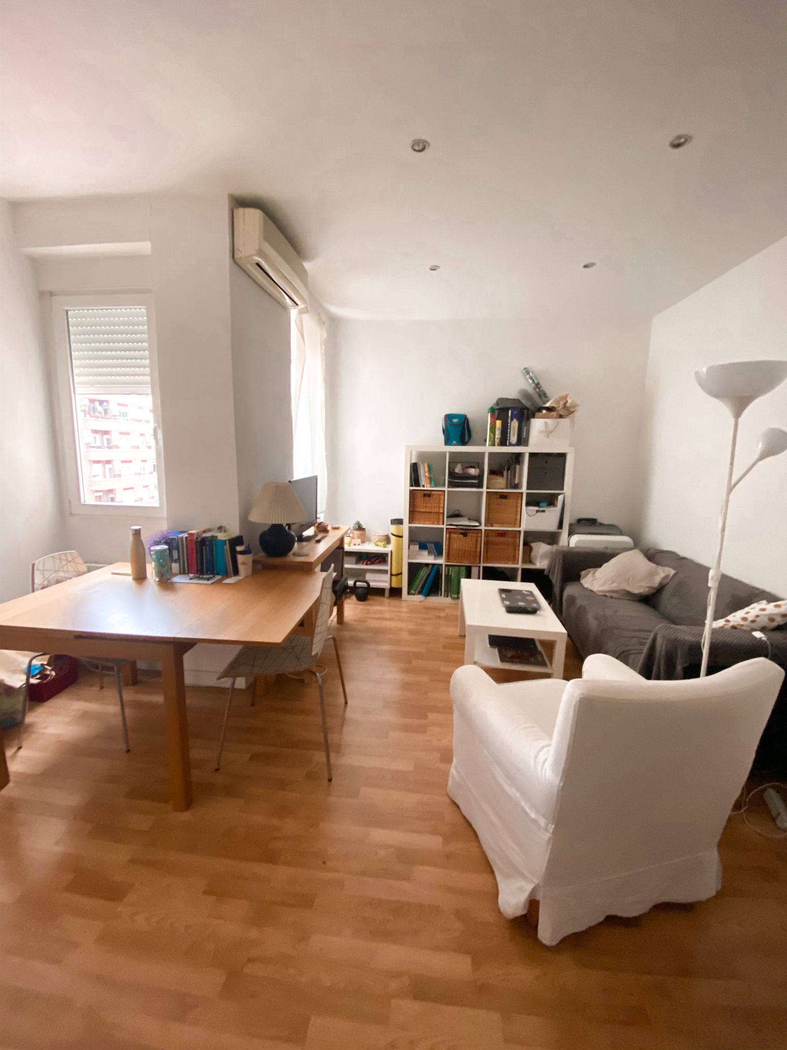 Kolokasie Madrid 245839