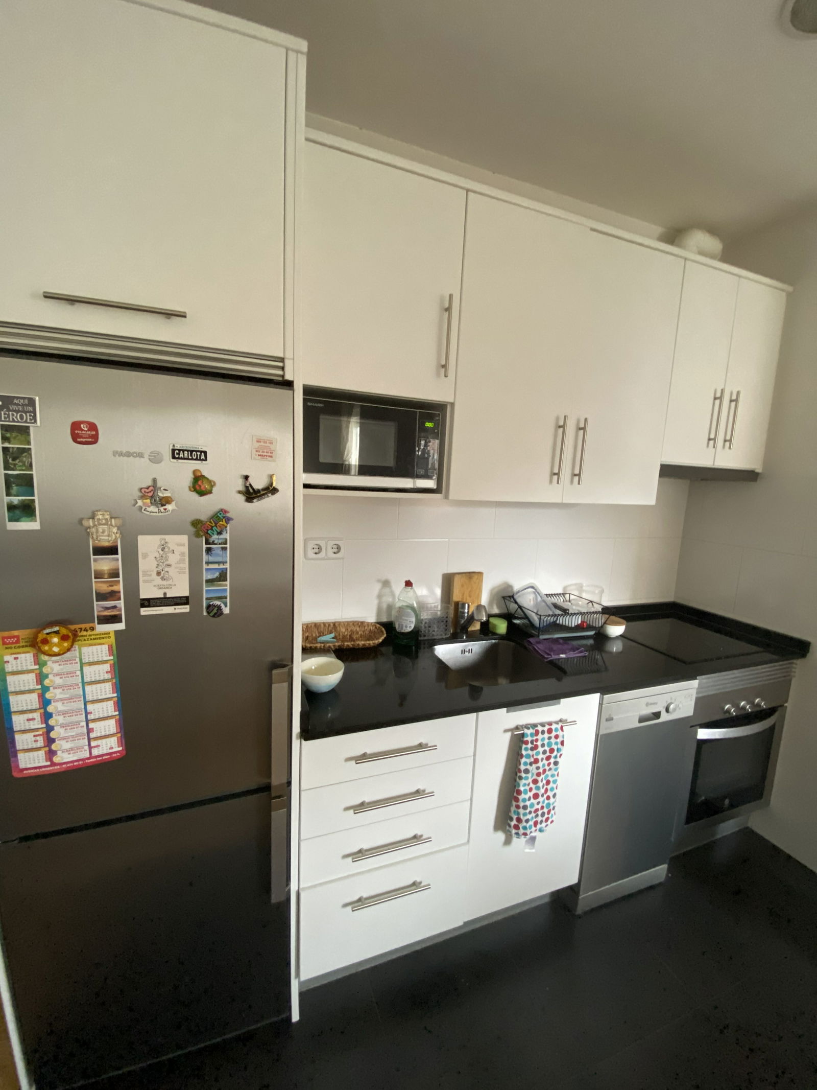 Kolokasie Madrid 245839