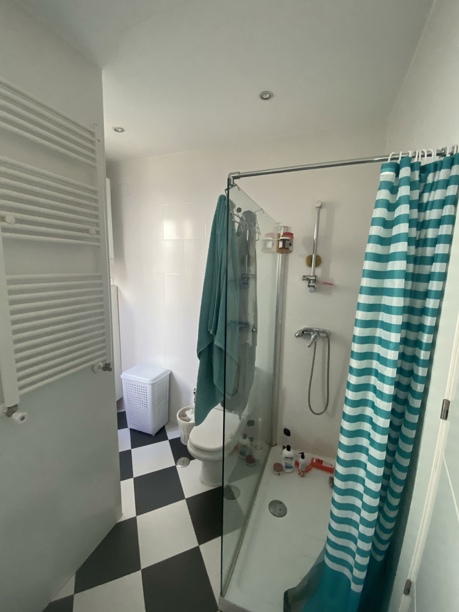 Kolokasie Madrid 245839