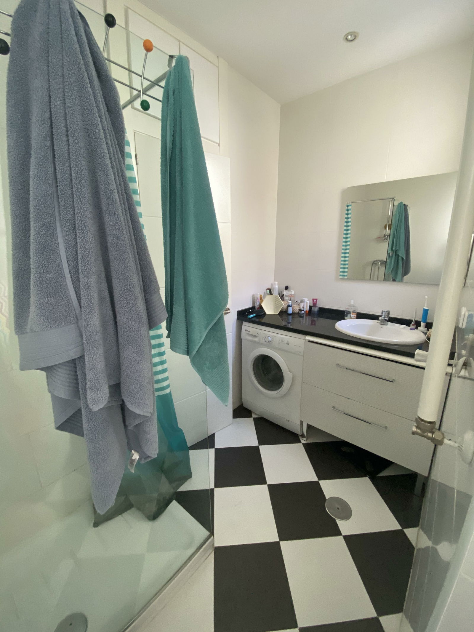 Kolokasie Madrid 245839