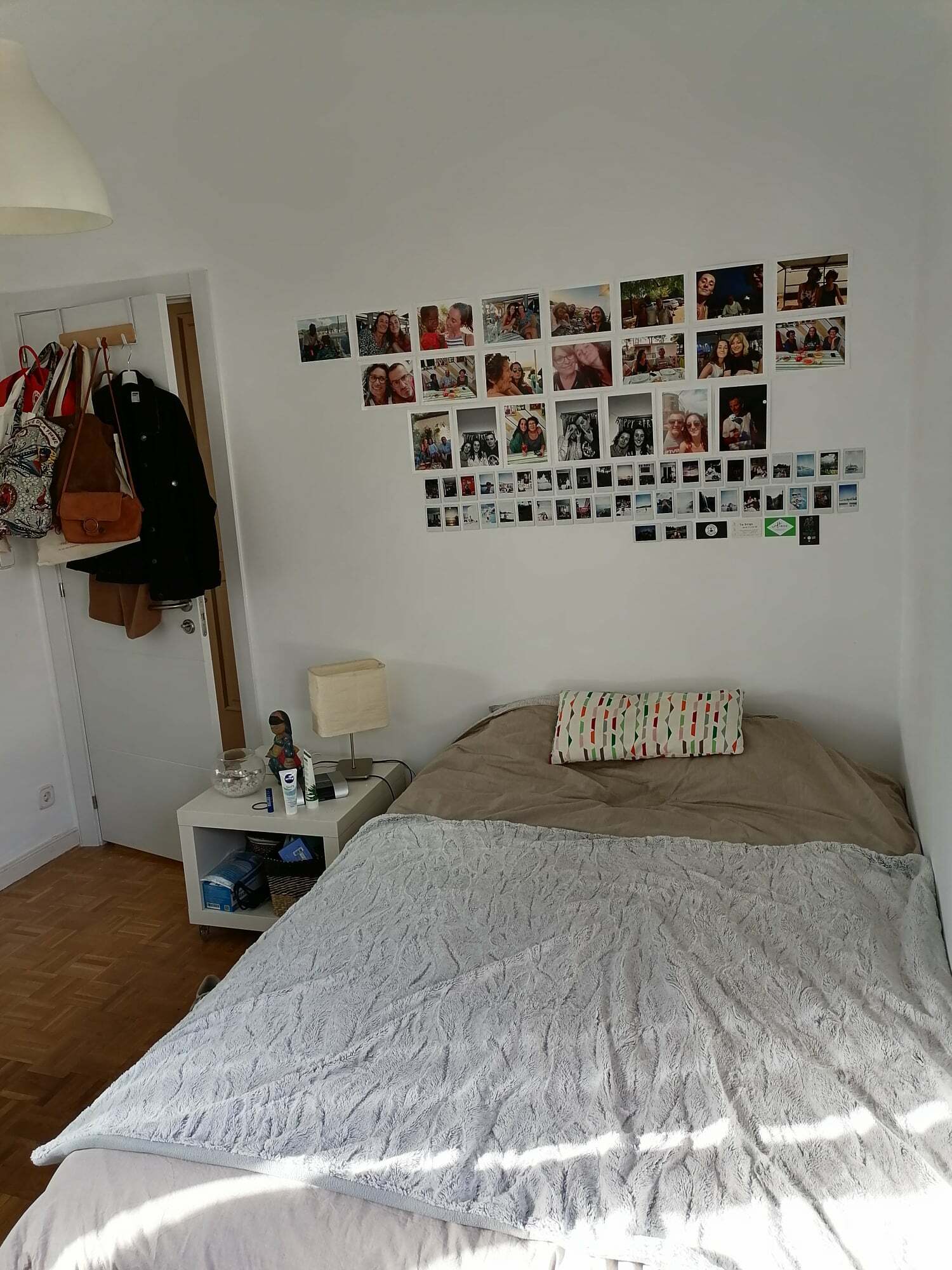 Kolokasie Madrid 247669