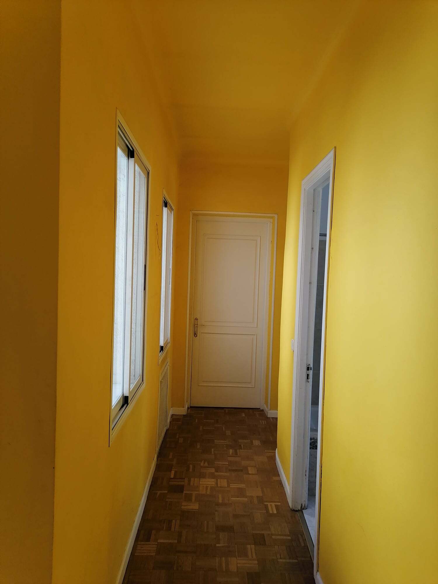 Kolokasie Madrid 247669