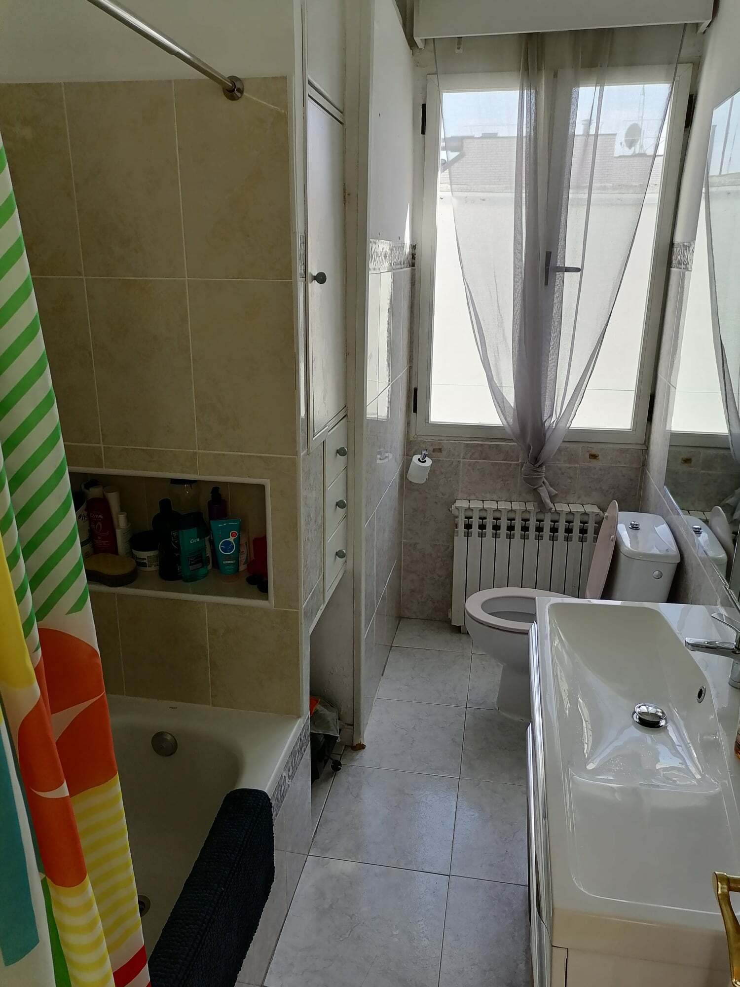 Kolokasie Madrid 247669