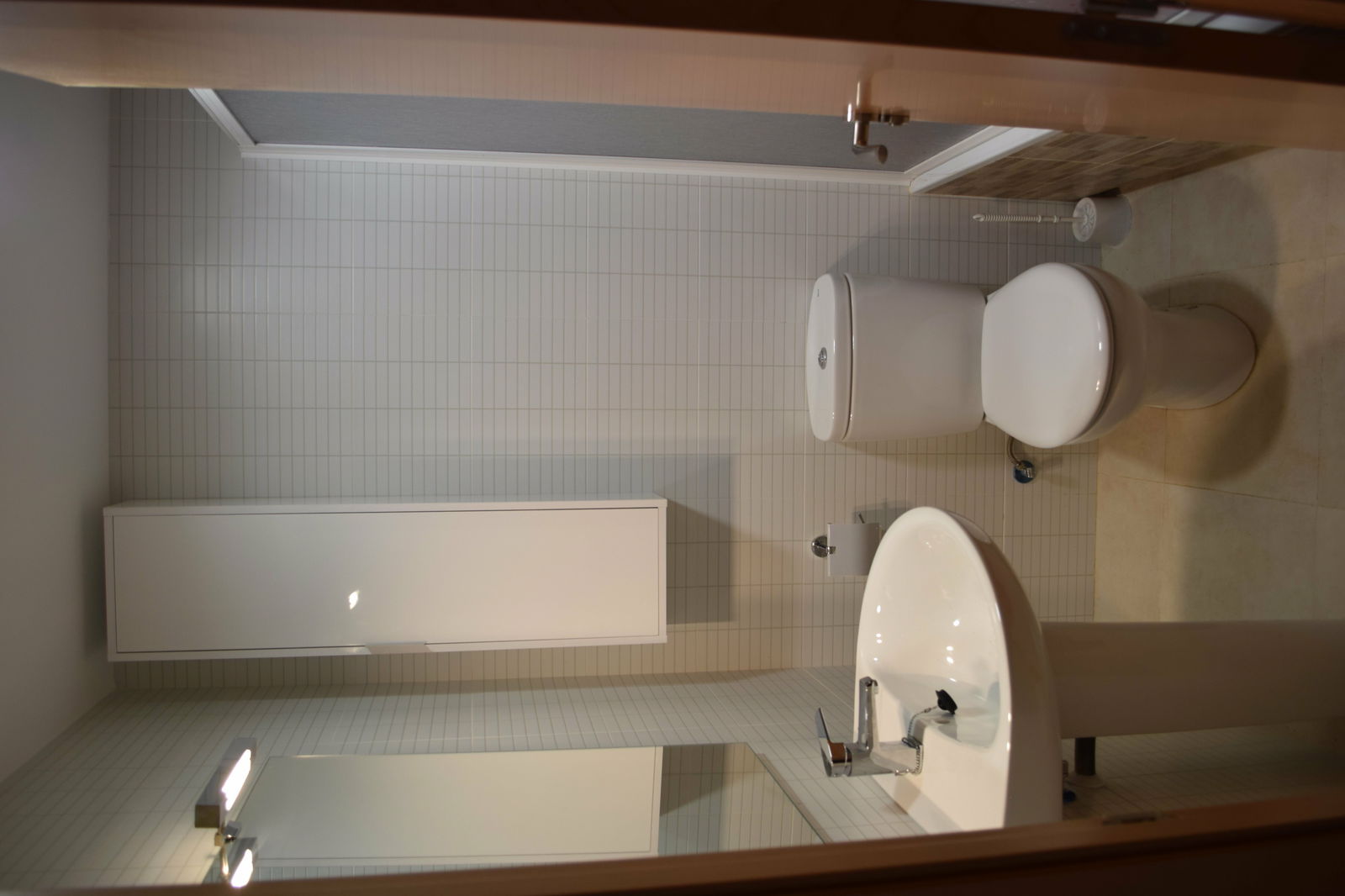 Kolokasie València 157086