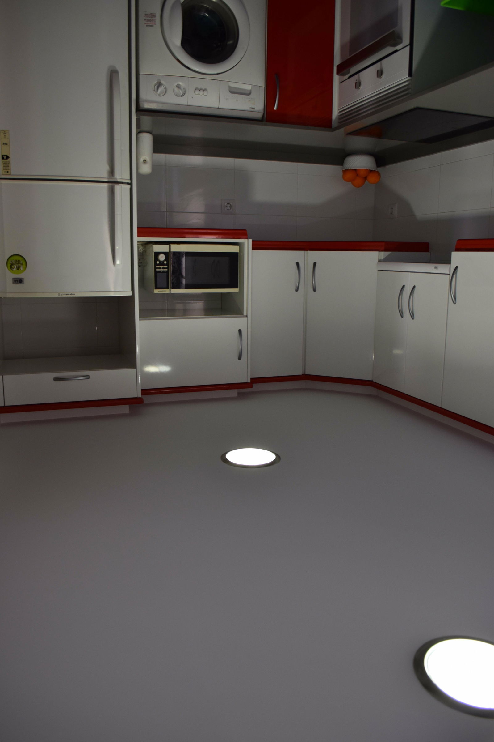 Kolokasie València 157089