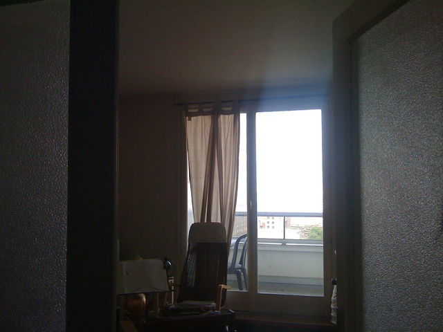 Kolokasie Lyon 12019