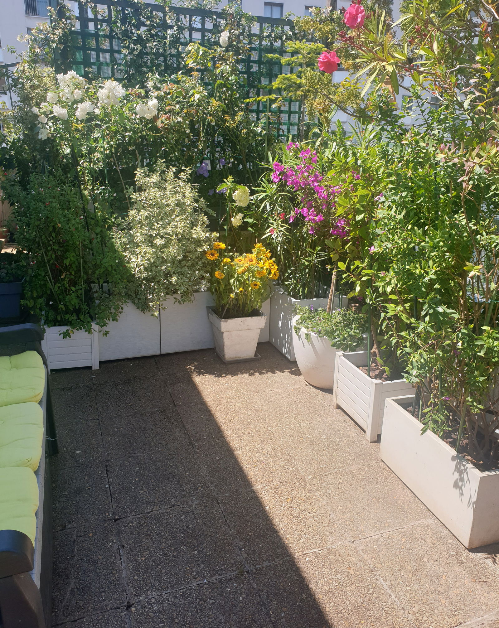 Homestay Paris 253403