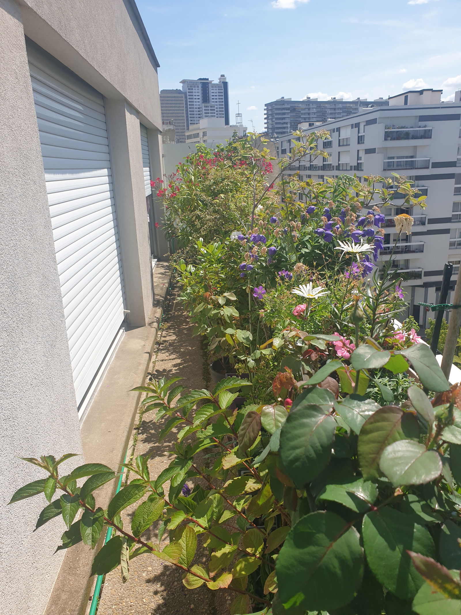 Homestay Paris 253403