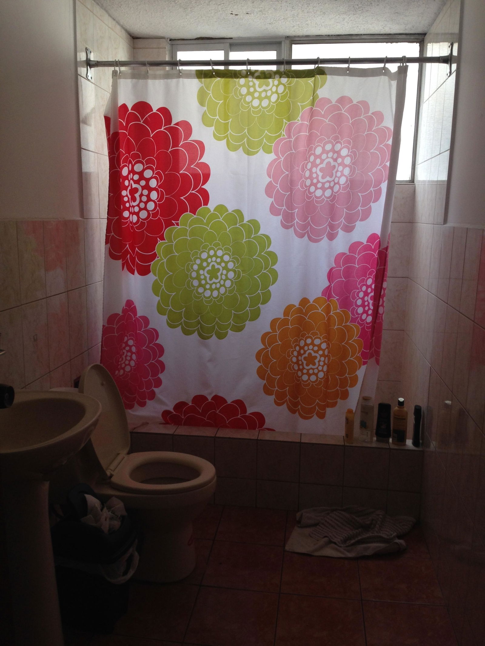 Kolokation Quito 184956