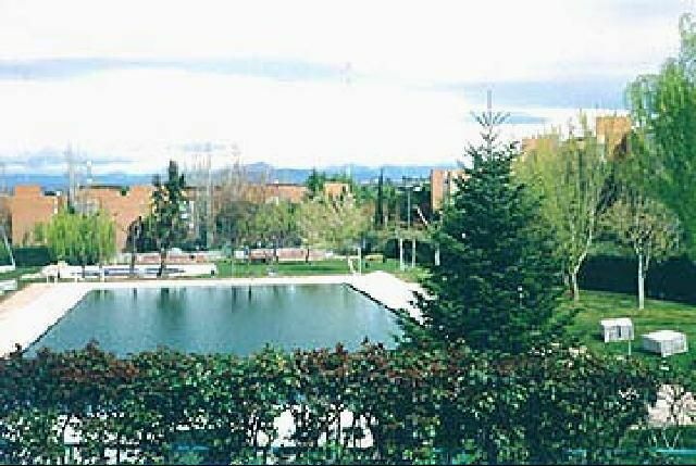 Gastfamilie Majadahonda 124643