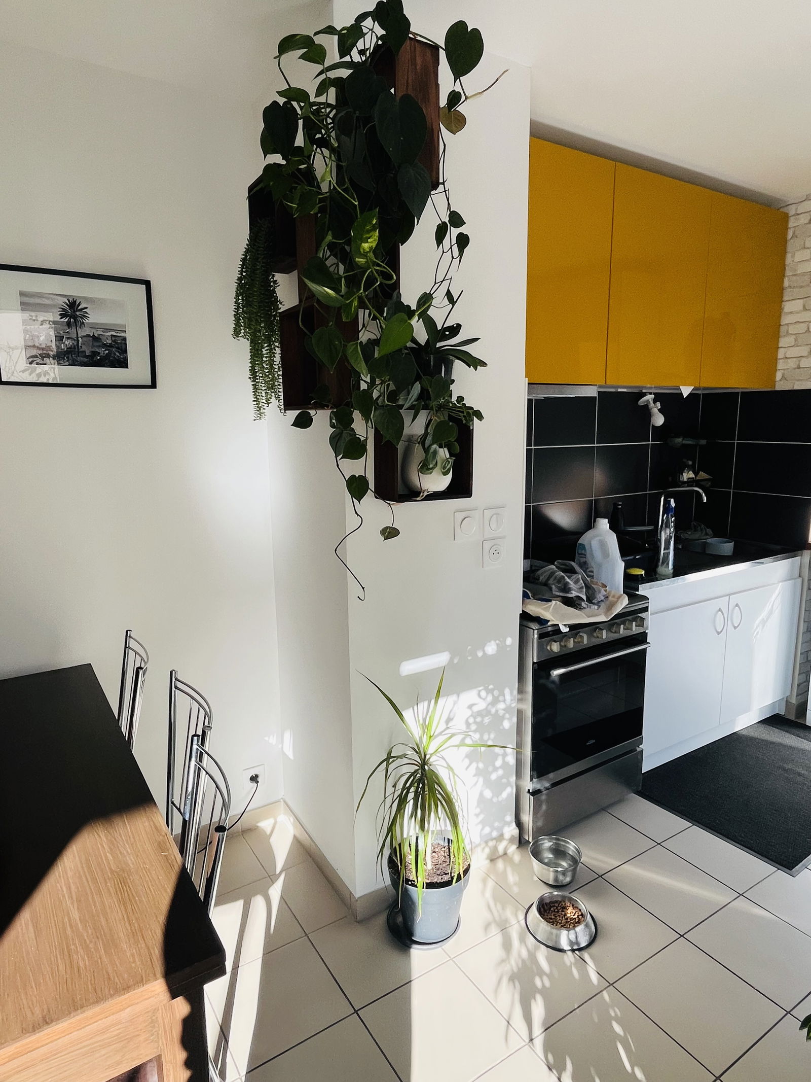 Gastfamilie Villeneuve-lès-Avignon 508578