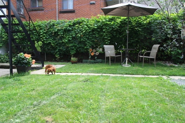 Gastfamilie Montréal 30871