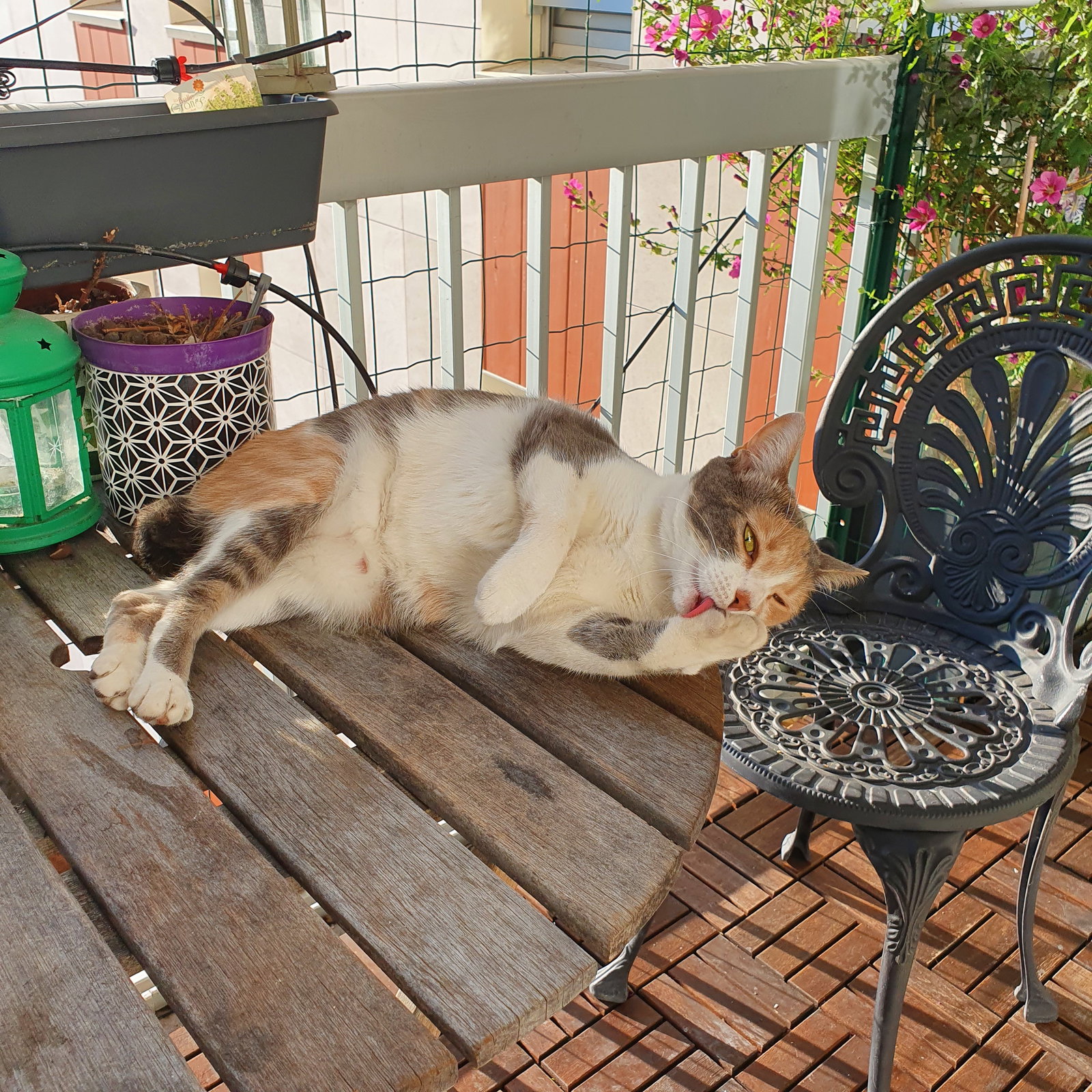 Homestay Paris 196990