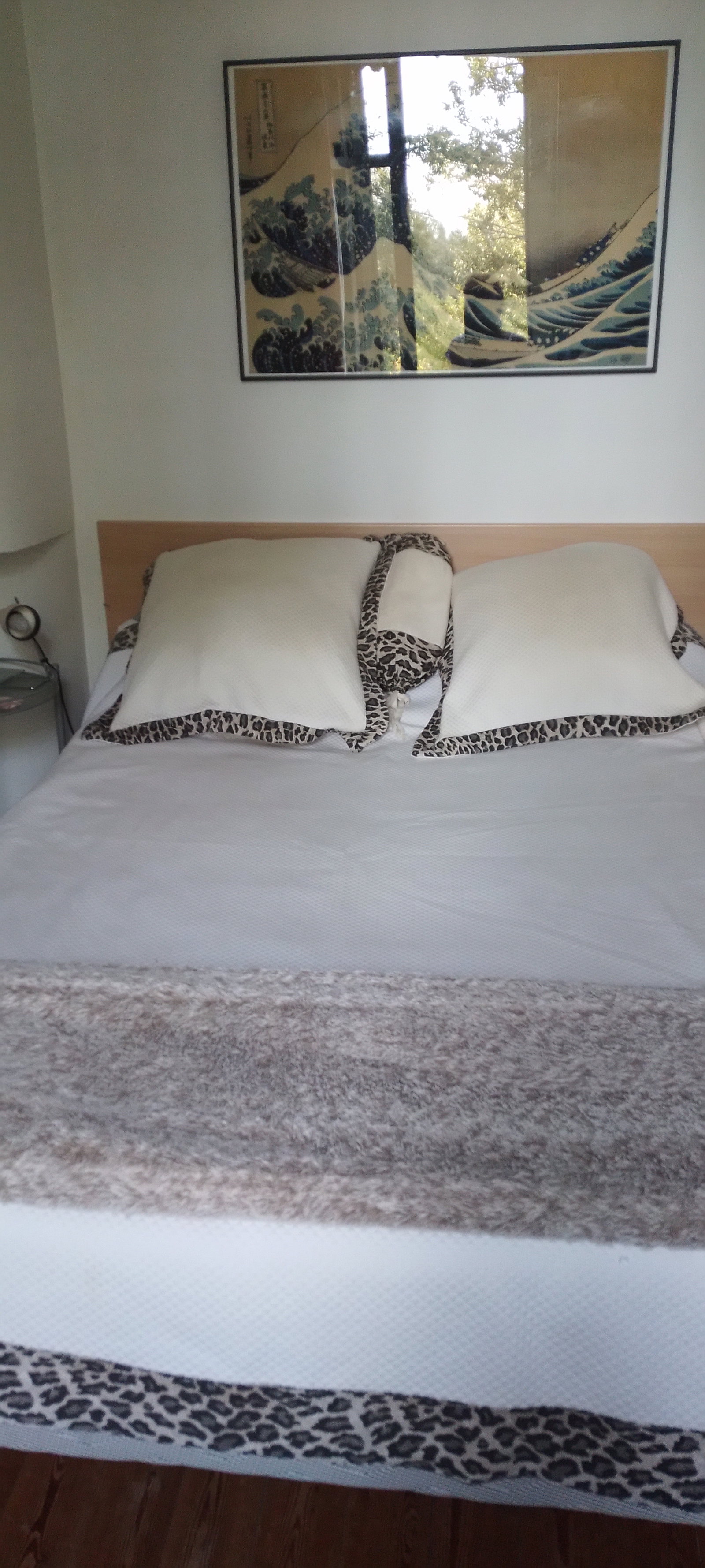 Homestay Tours 625538