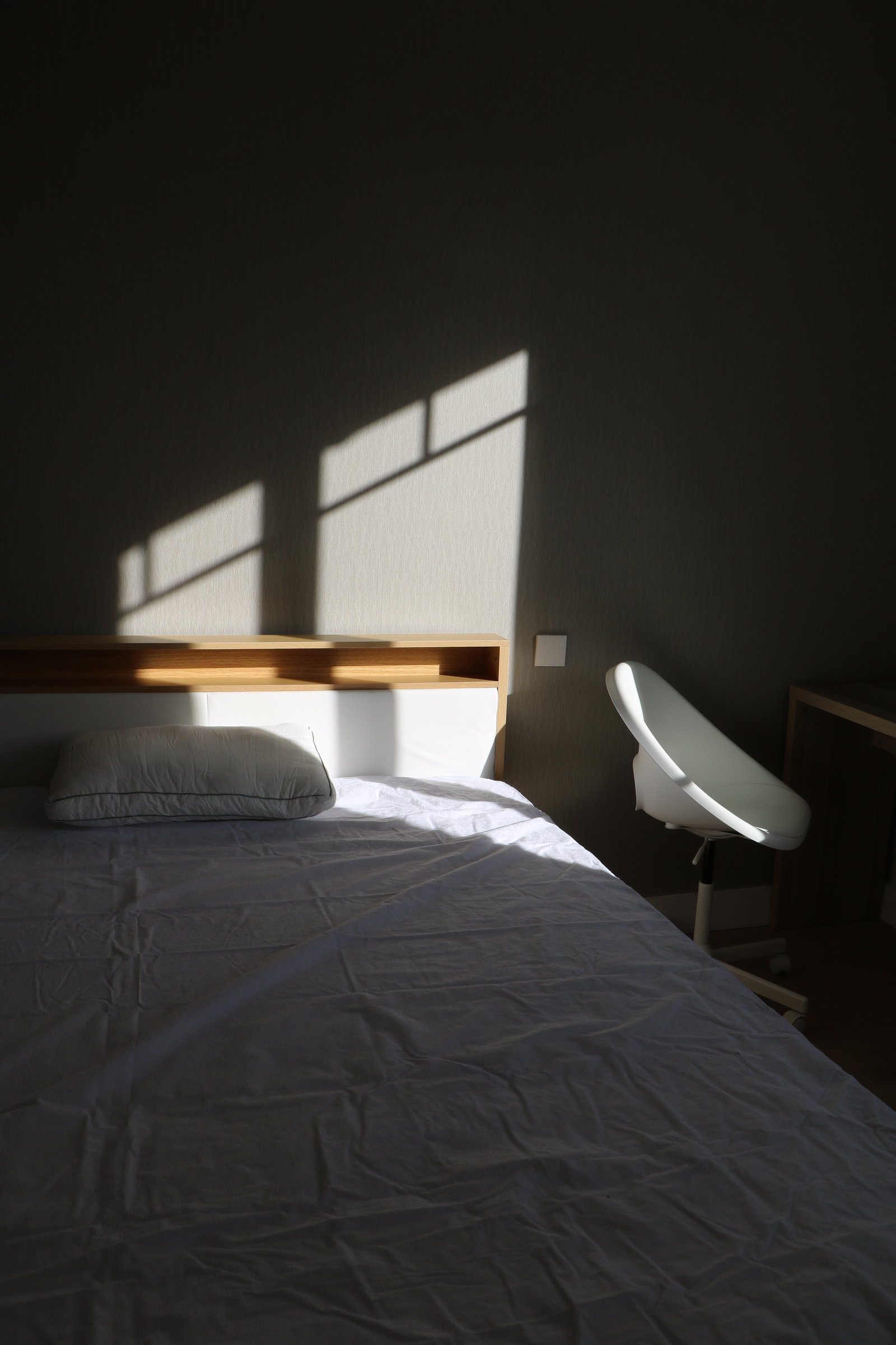 Colocation Albi 660571