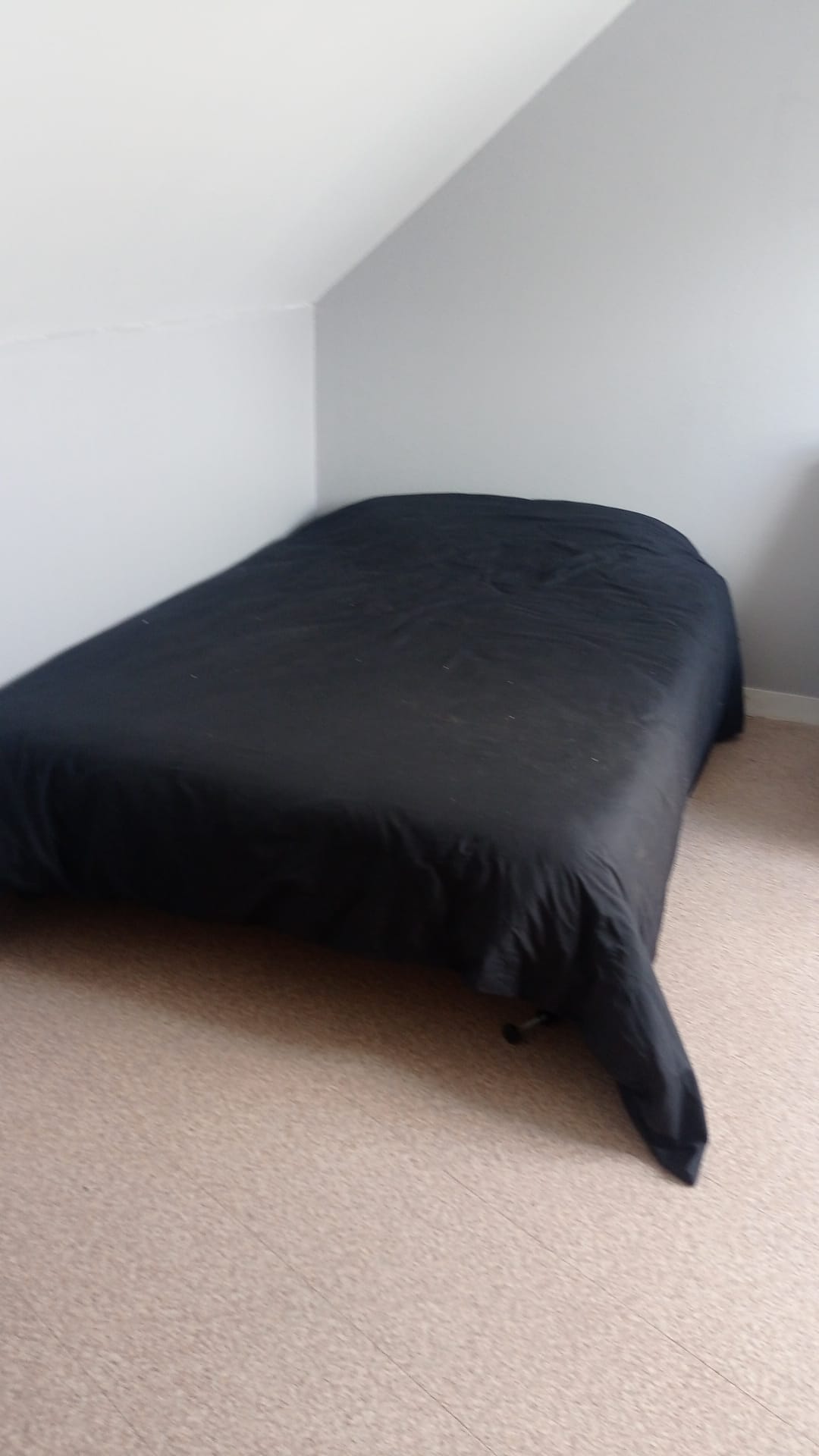 Hemvistelse Loire-Authion 432884