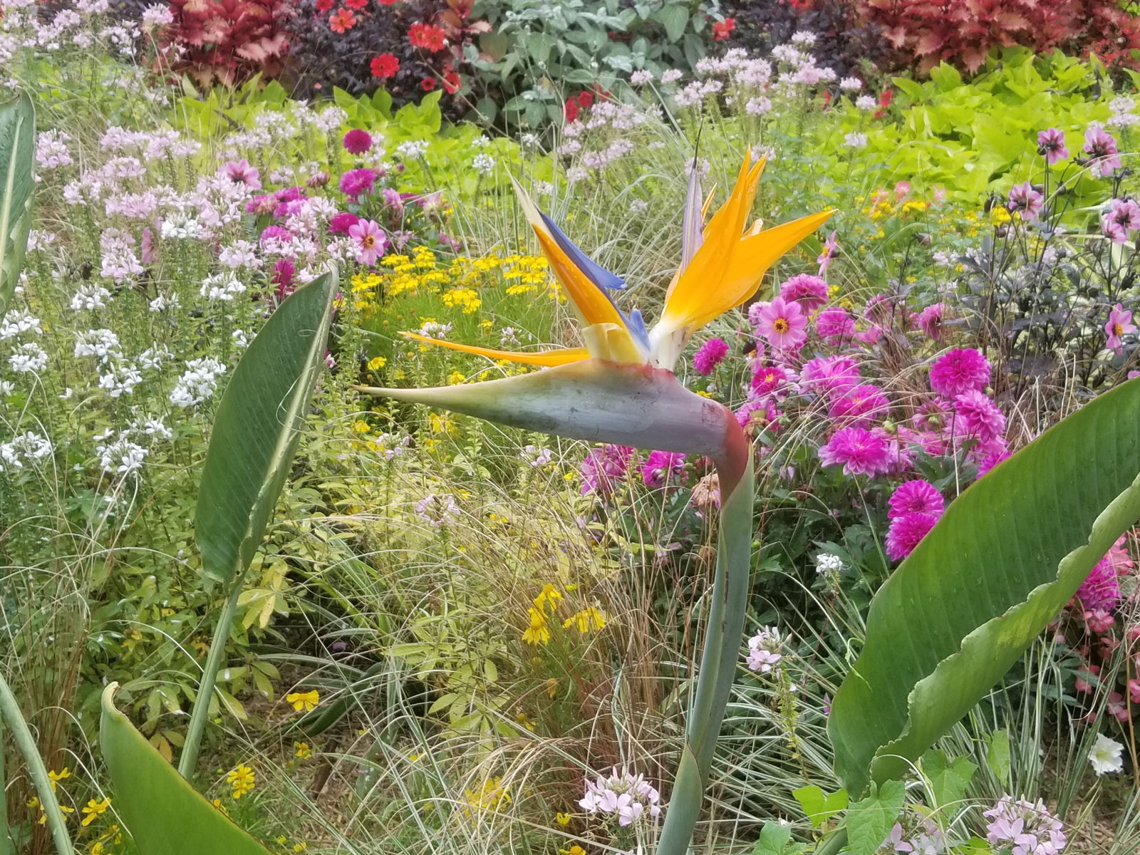 Hemvistelse Saint-Nazaire 468677