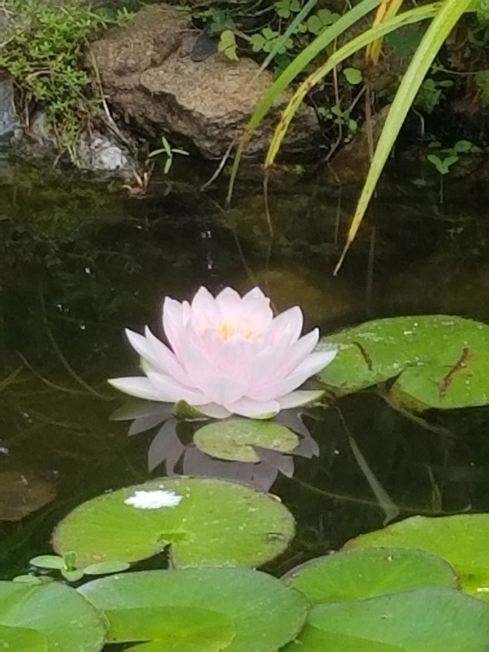 Hemvistelse Saint-Nazaire 468677