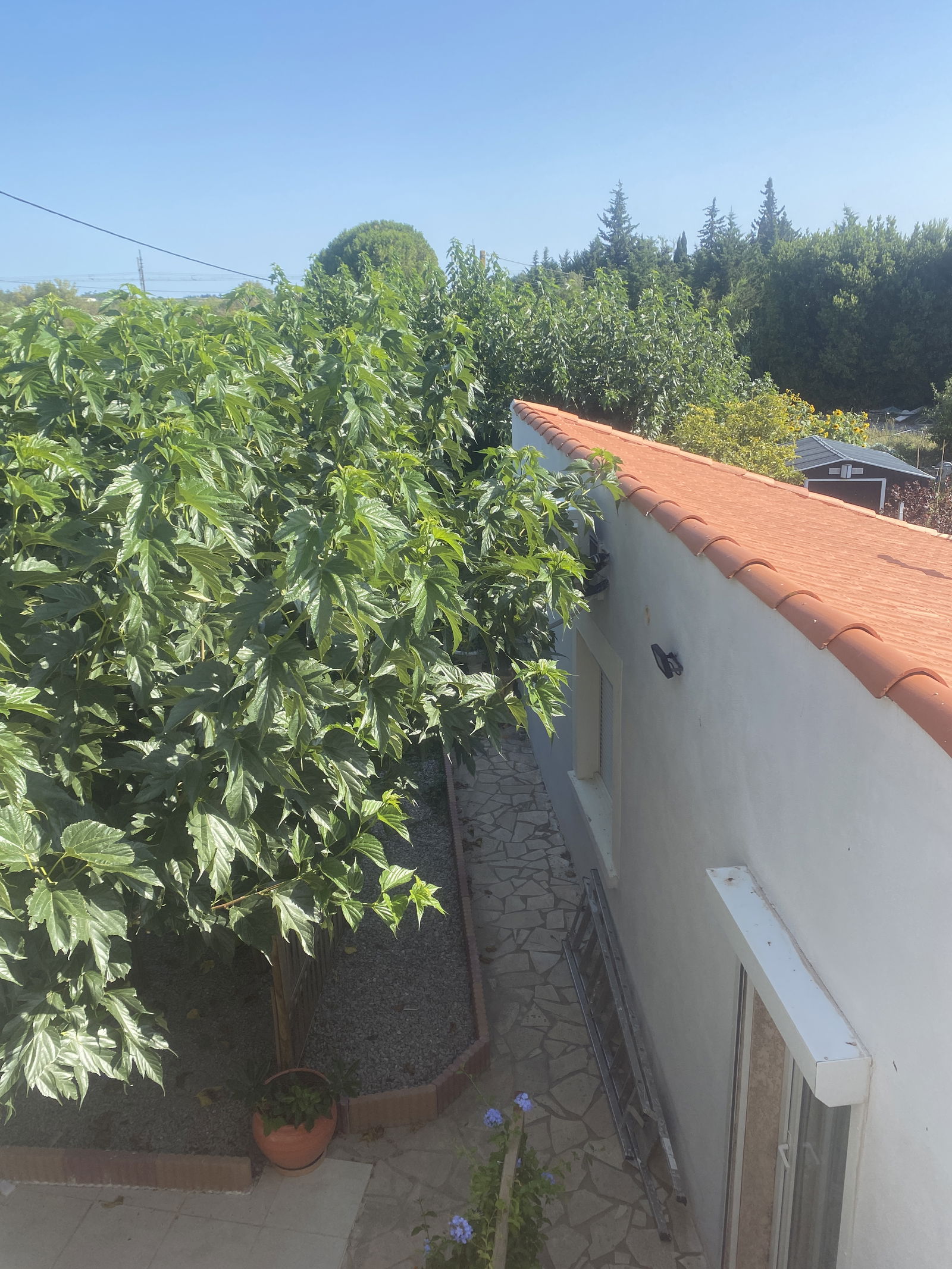 Oberoende Studio Béziers 412859