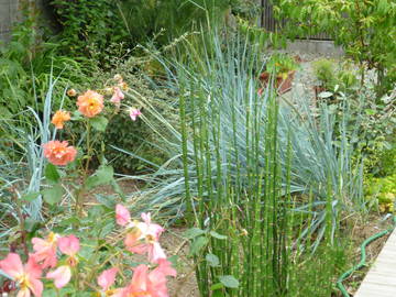 Chambre D'hôte Lancieux 198531-12