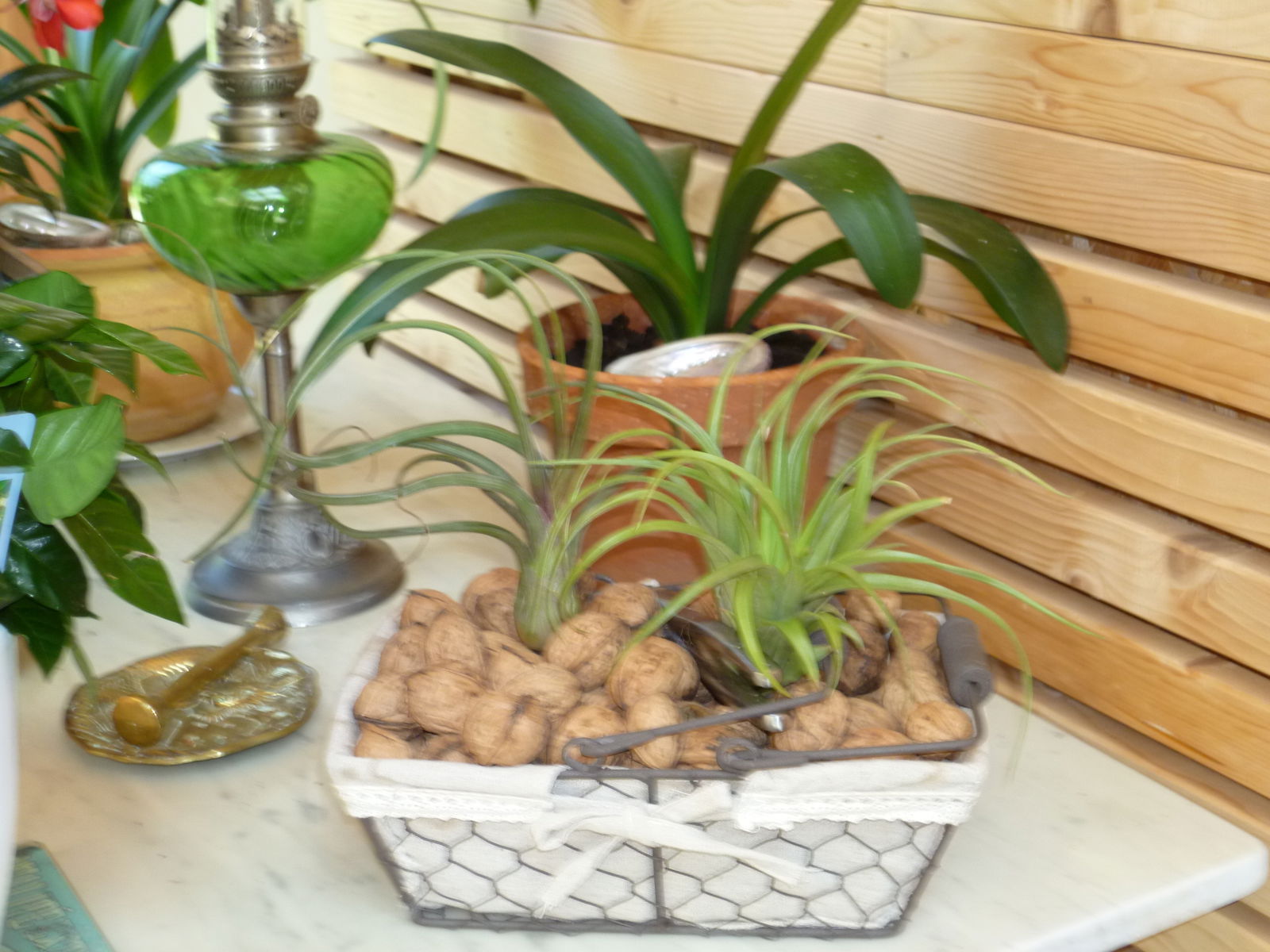 Habitaciones De Huéspedes Lancieux 198531