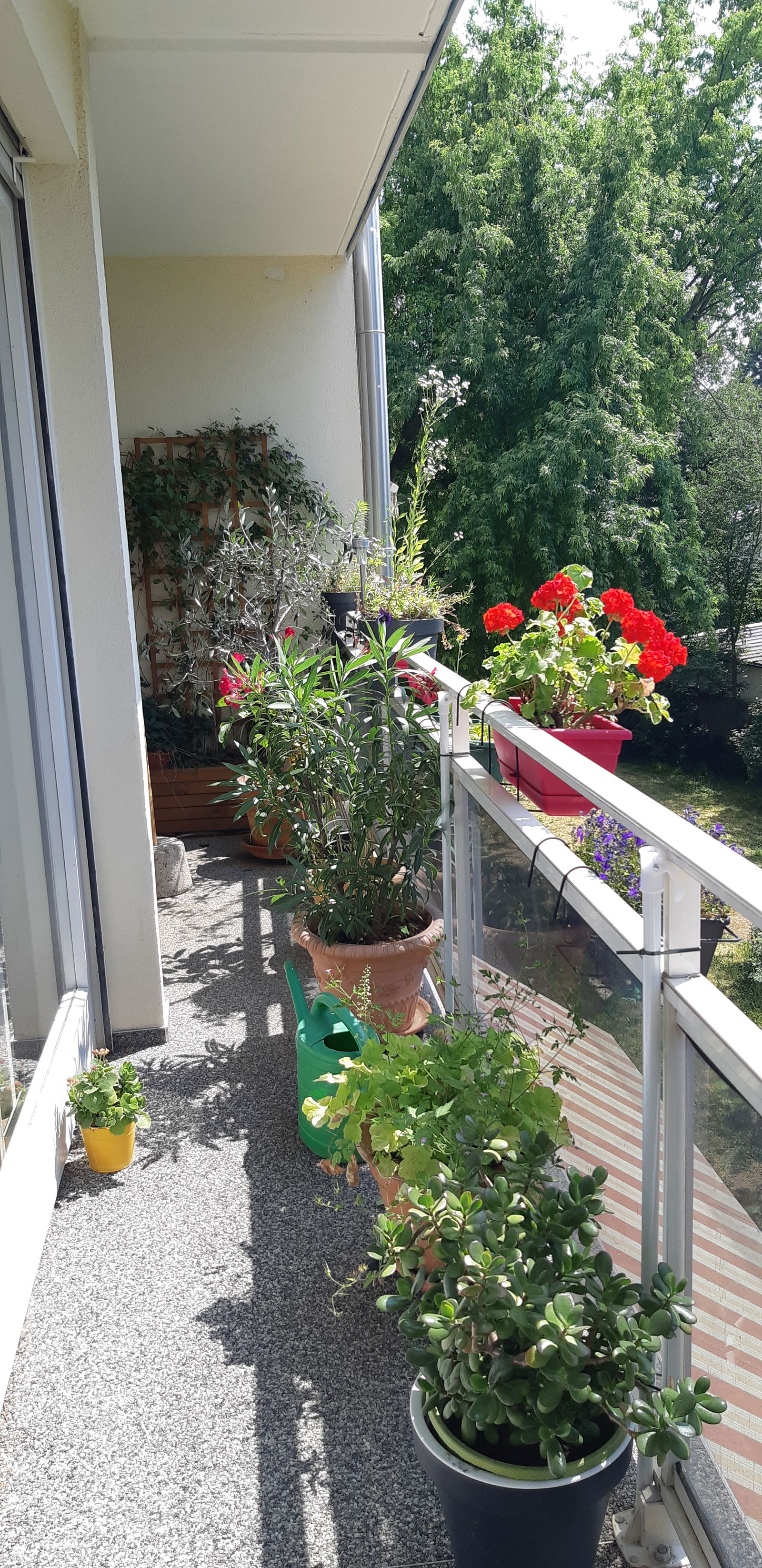 Quedarse En Casa Illkirch-Graffenstaden 268415