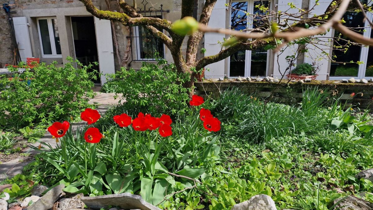 Colocación Vufflens-la-Ville 442275