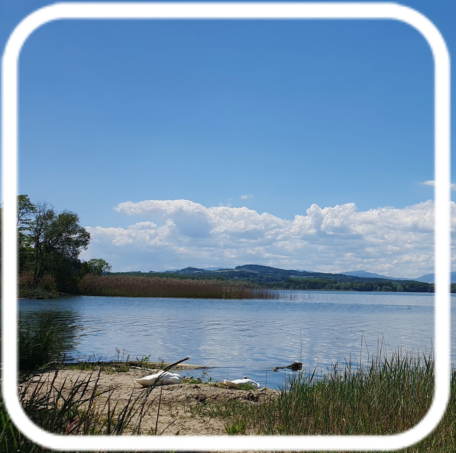 Quedarse En Casa Cheyres-Châbles 582640