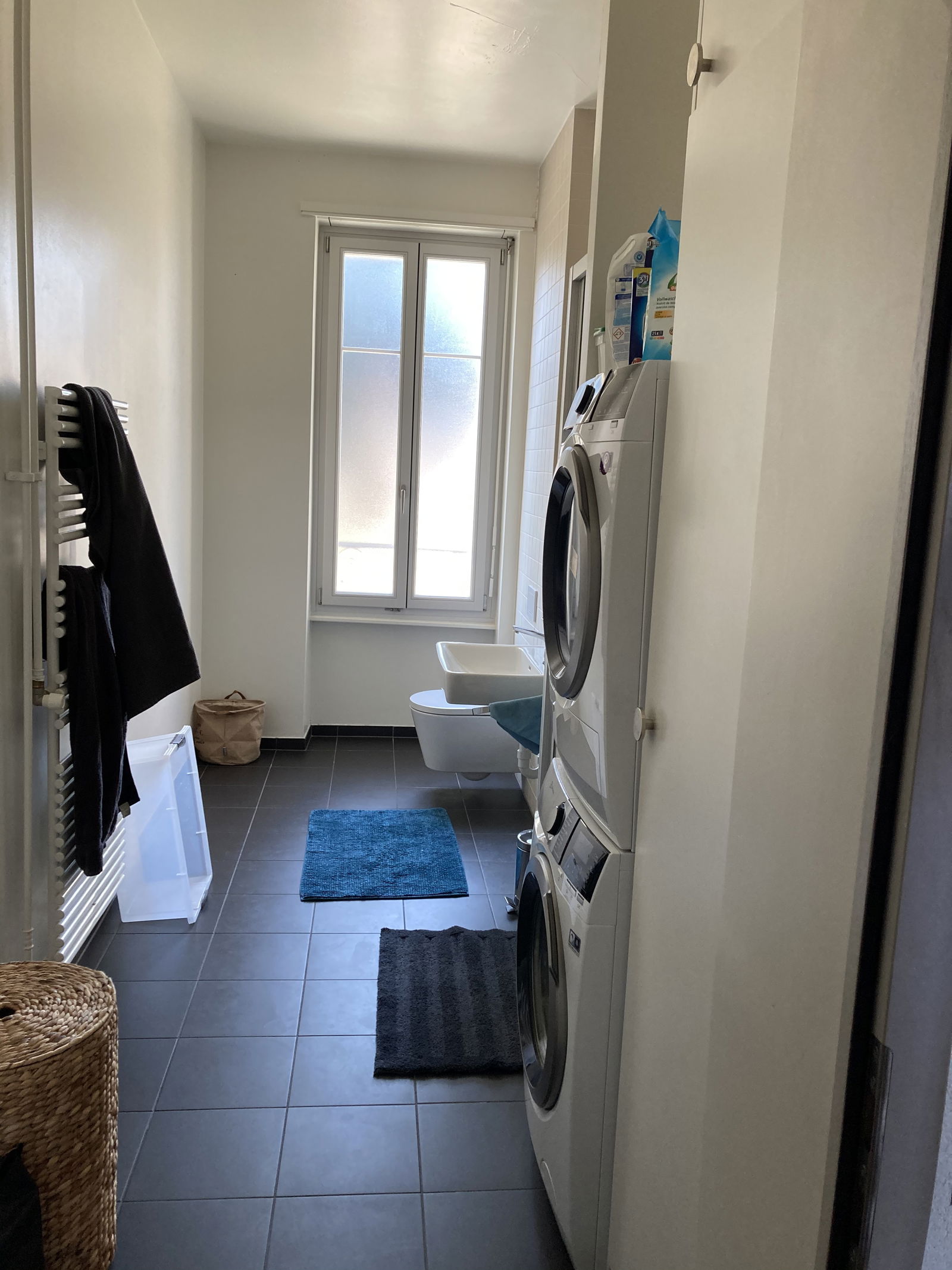 Colocación Lausanne 248258