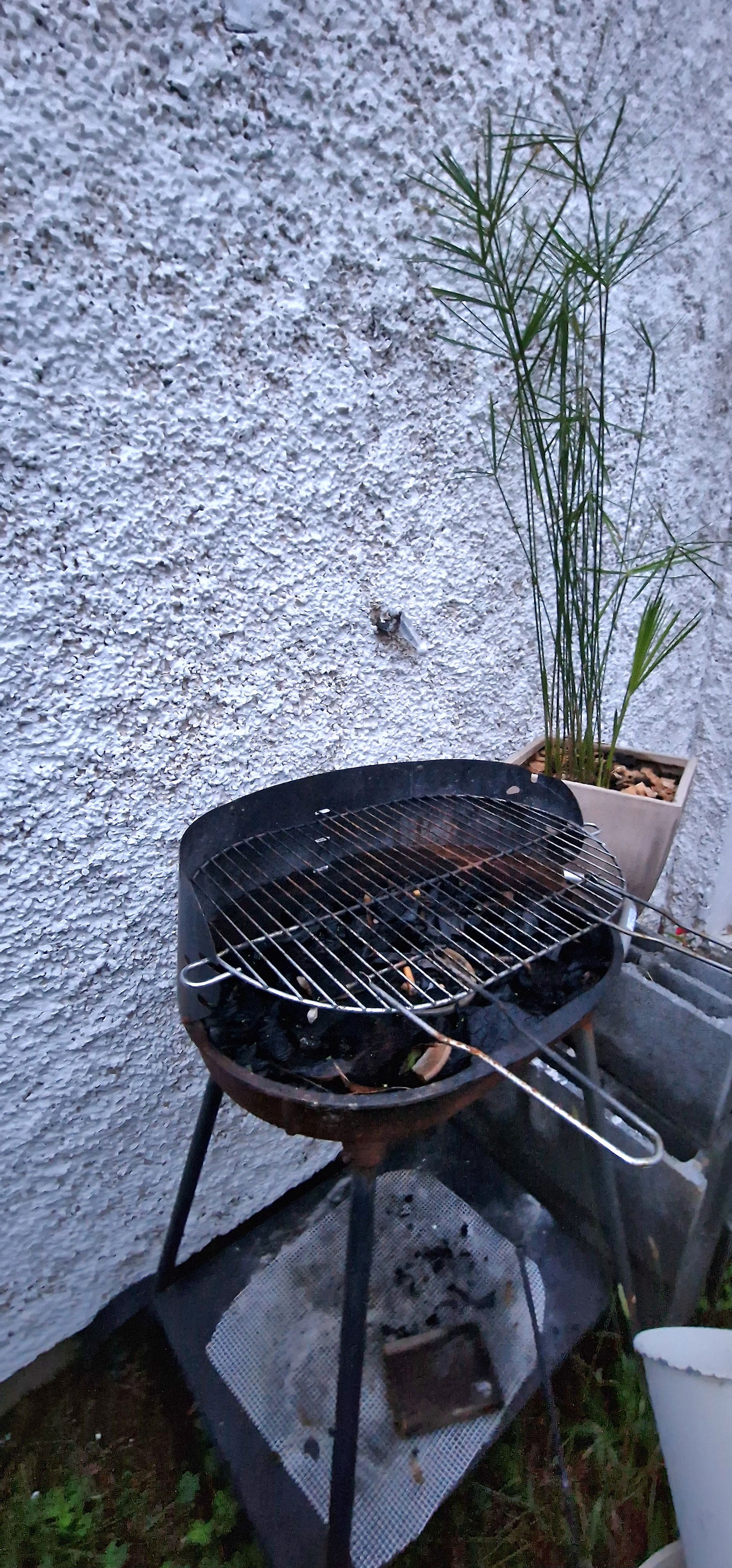 Colocación Toulouse 319065