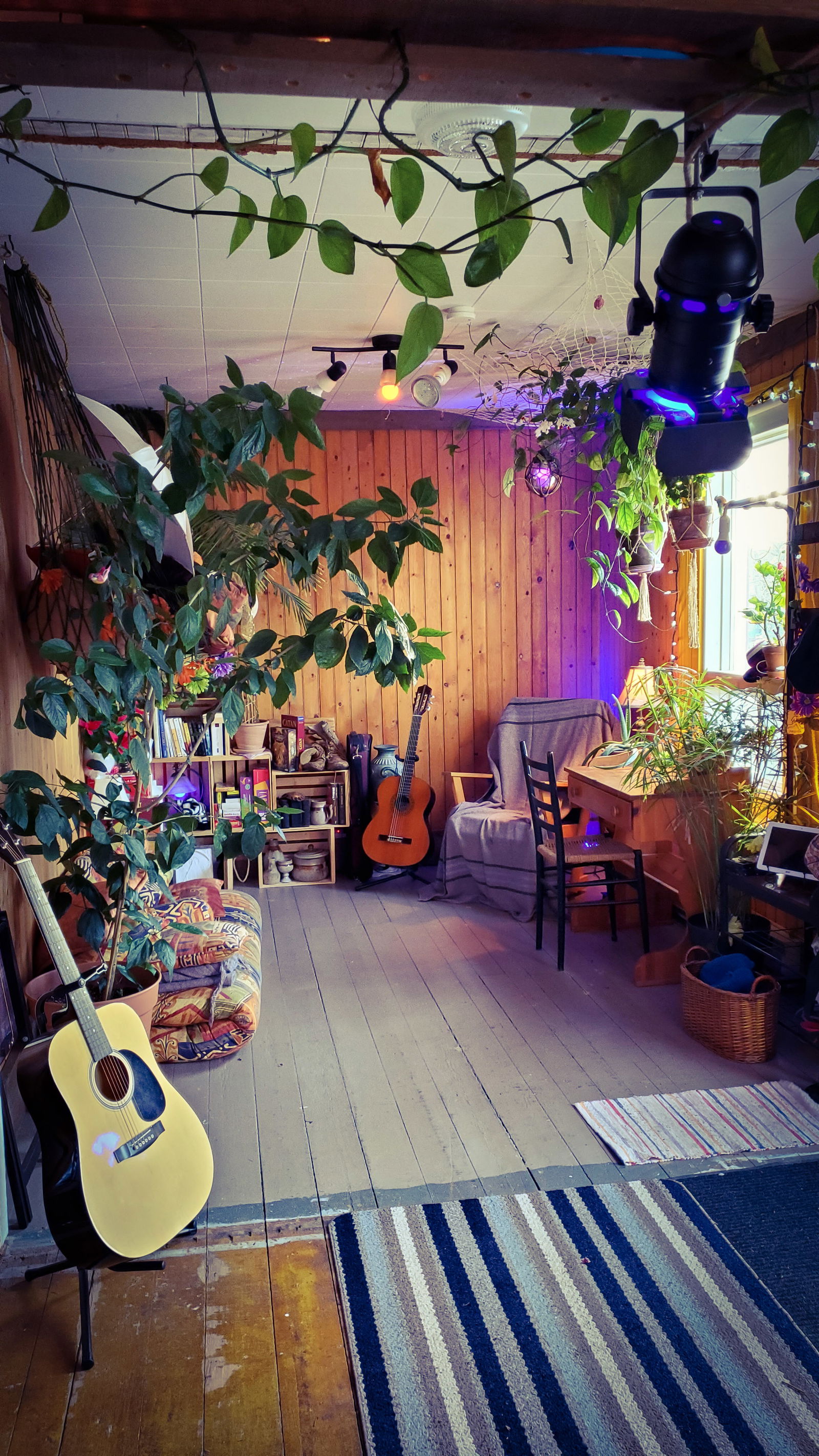 Quedarse En Casa Lévis 267308