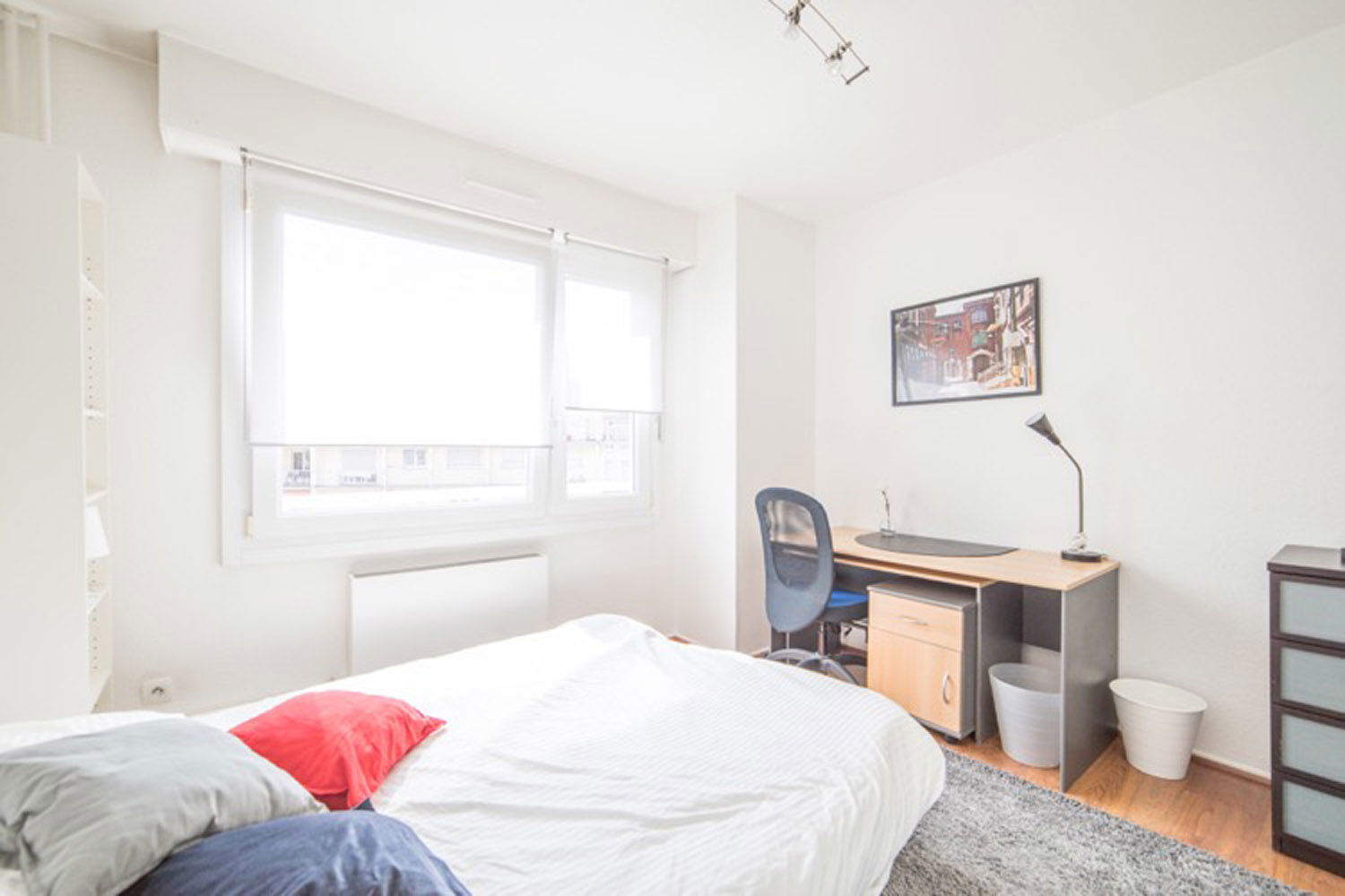 Colocación Strasbourg 264686