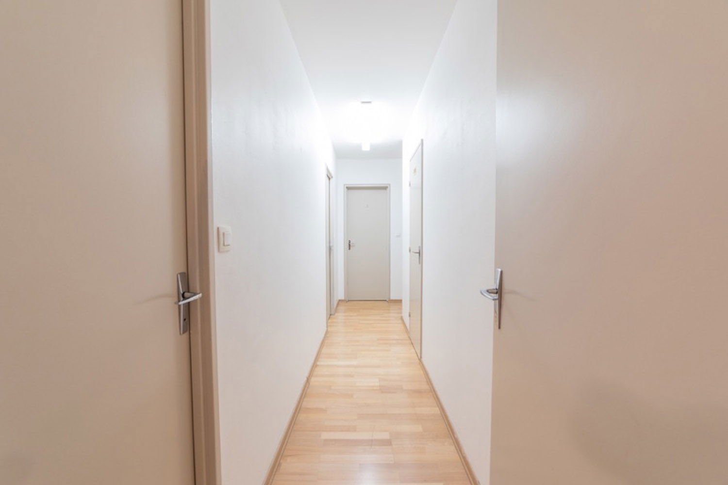 Colocación Strasbourg 264715