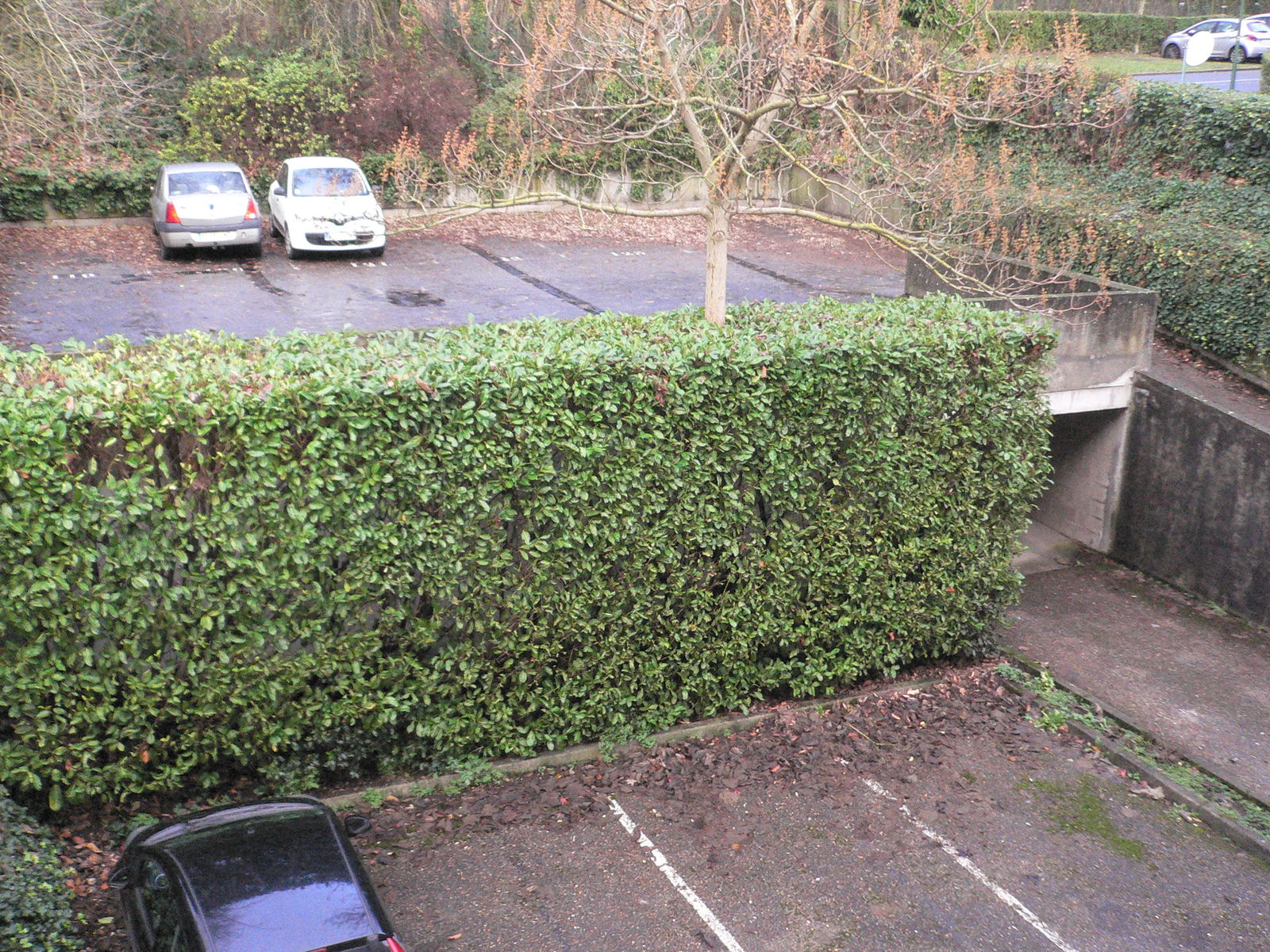 Estudio Independiente Rouen 216126