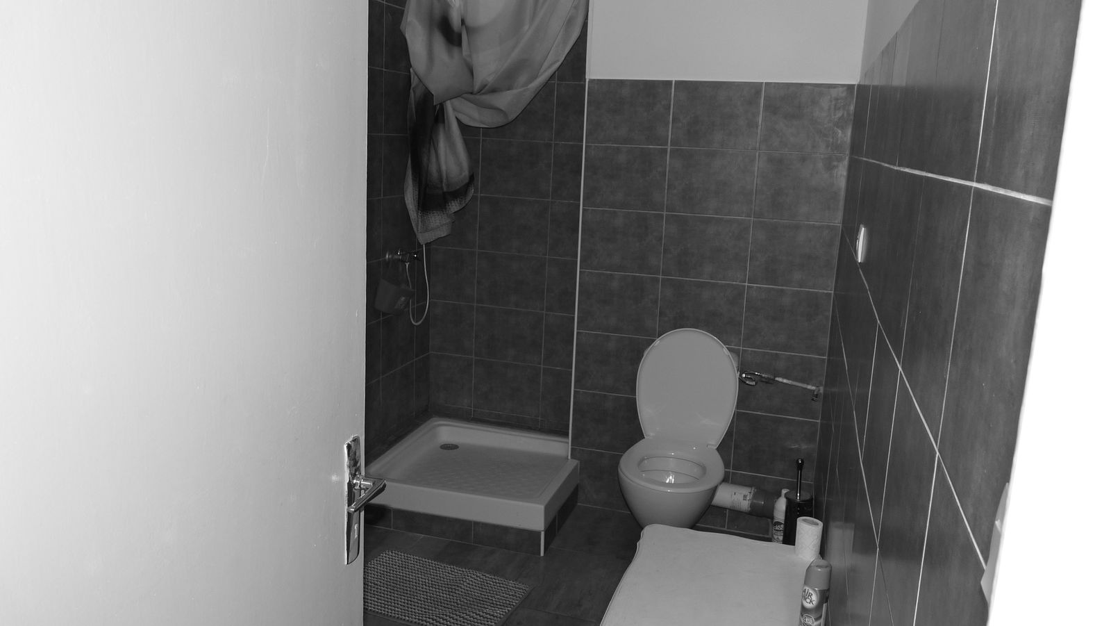 Estudio Independiente Toulon 210296